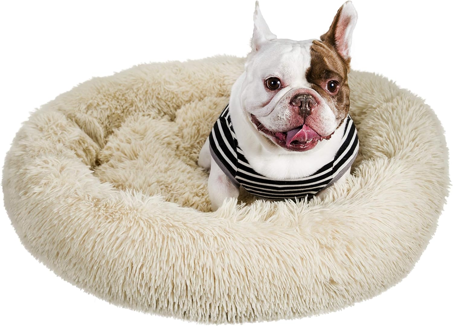 pawthread dog bed