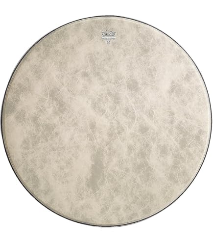 Amazon.com: Remo FA1520-00 20-Inch Fiberskyn 3 Ambassador