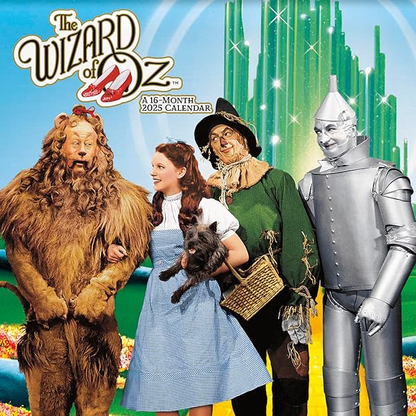 The Wizard of Oz : Bracken, Beth: Amazon.ca: Books