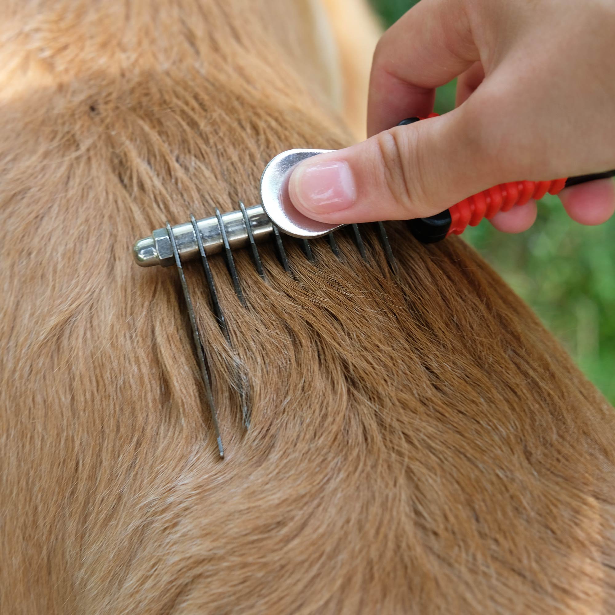 Dog Dematting Comb - Professional Grooming Tool Removes Tangled,Shedding Hair for Dogs&Cats,Free Gift Flea Comb