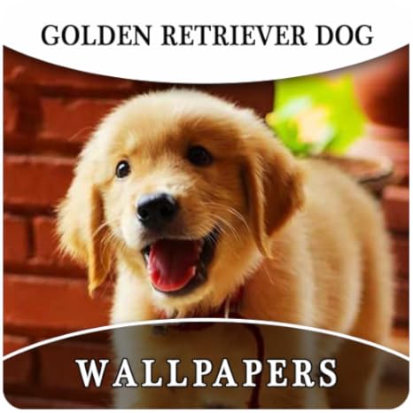 Amazon Com Golden Retriever Dog Wallpapers And Background