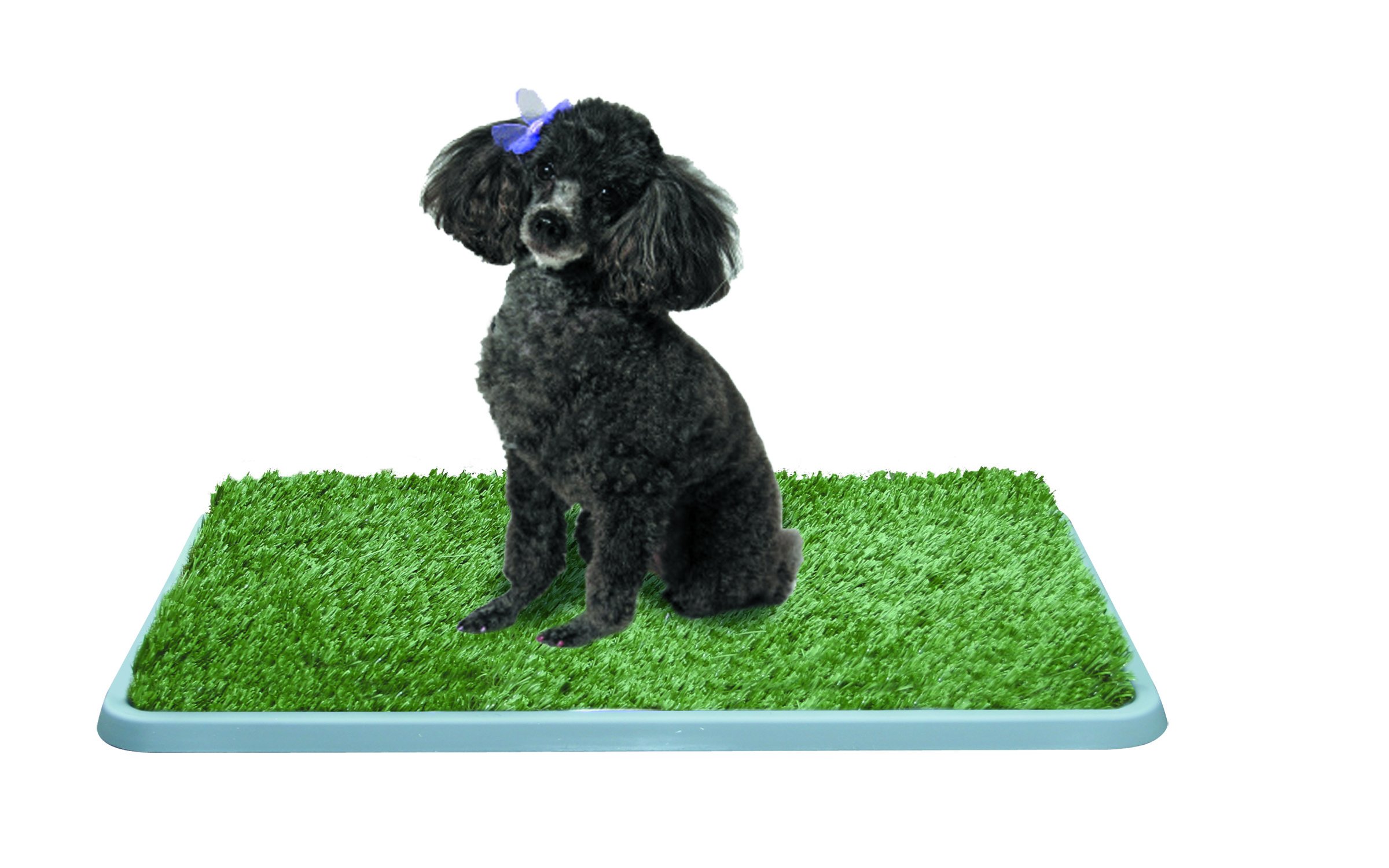 Silver Paw Potty Patch Dog Potty Replaces Wee Wee Pads The Best Pet