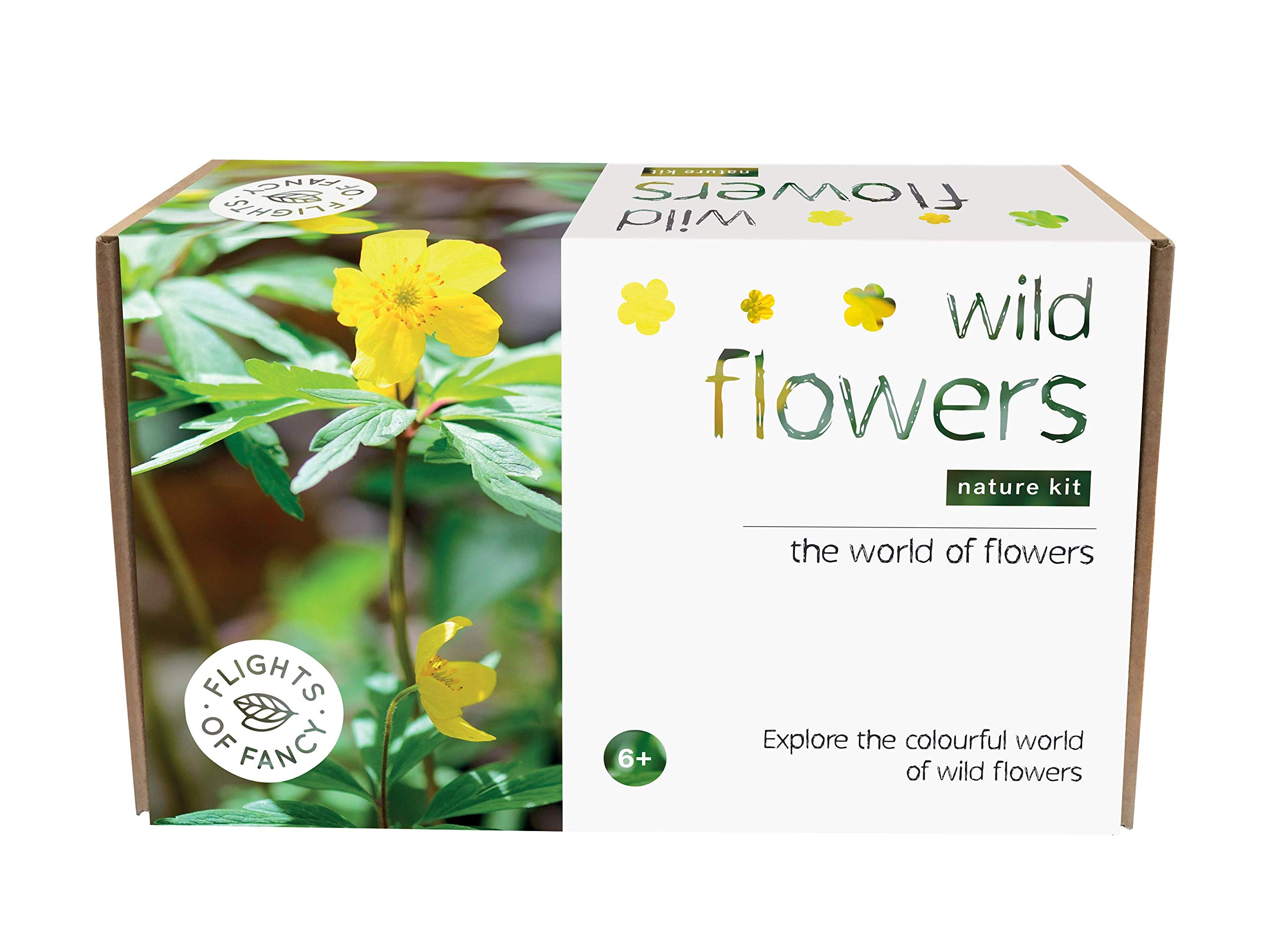 Flights of Fancy 85805 Wild Flowers Nature Kit, Brown, White