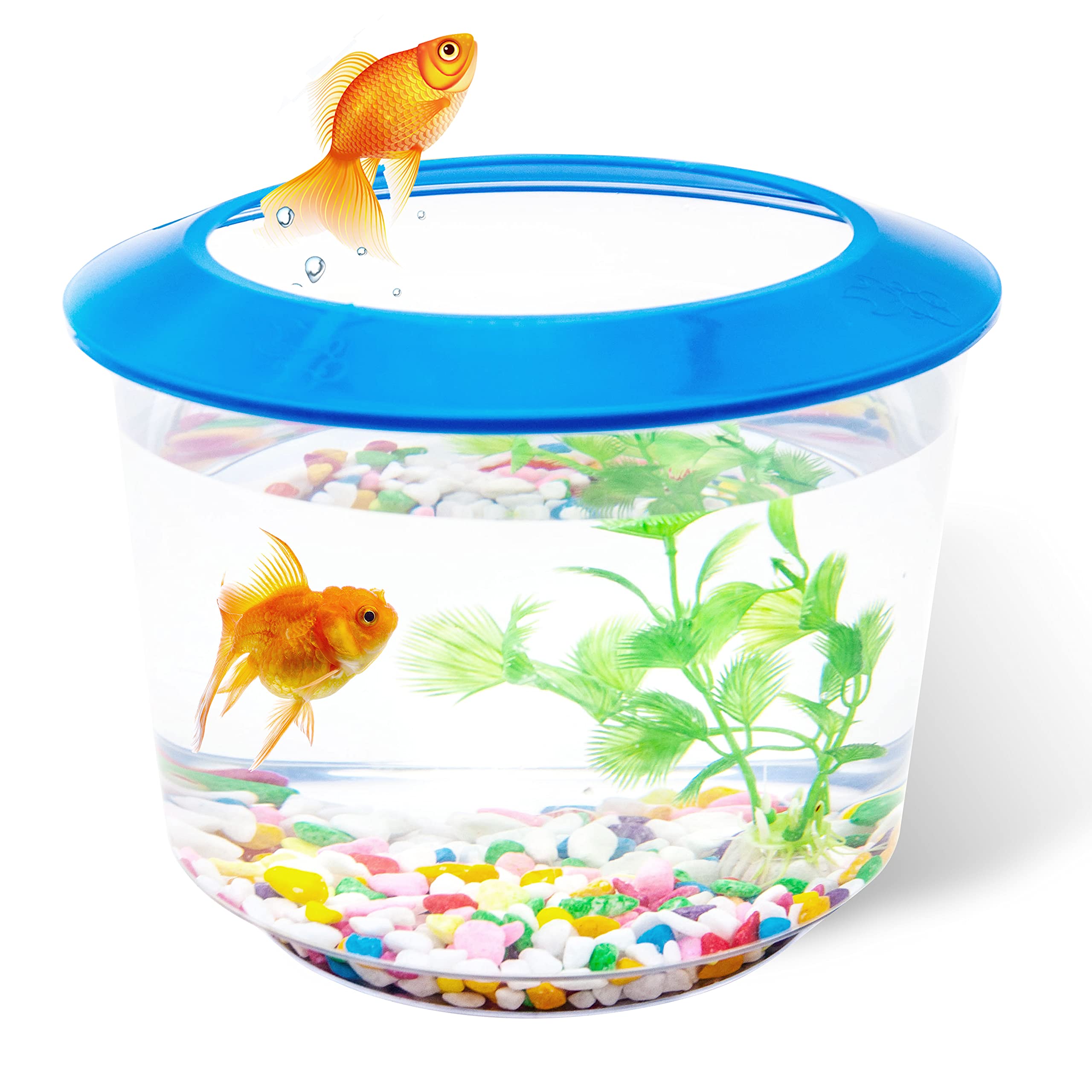 Goldfish Tank – Small Fish Tanks and Aquariums – Fish Bowl – Starter Kits with Gravel Ornamental Plant – Complete Set up for Kids Fishes Tank (Blue)