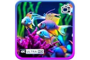 Coral Reef Aquarium Screensaver - 4K Dream Fish & Tranquility