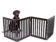 Internet's Best Traditional