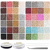 EuTengHao Glass Seed Beads for Bracelet Making Kit, 8/0 Small Pony Beads for Bracelet Necklace Jewelry Making DIY Crafting (3mm, 48 Colors, Frosted Glass and Lacquered)