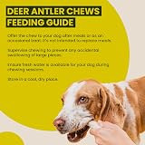 Floppy Ear Deer Antler Chew Extra Large 240-300g Dog Treat view 9