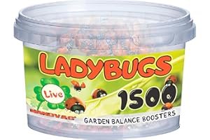 NANOVAC 1500 Ladybugs Live for Garden - Hippodamia Convergens - Live Lady Bugs in a Container (1500)