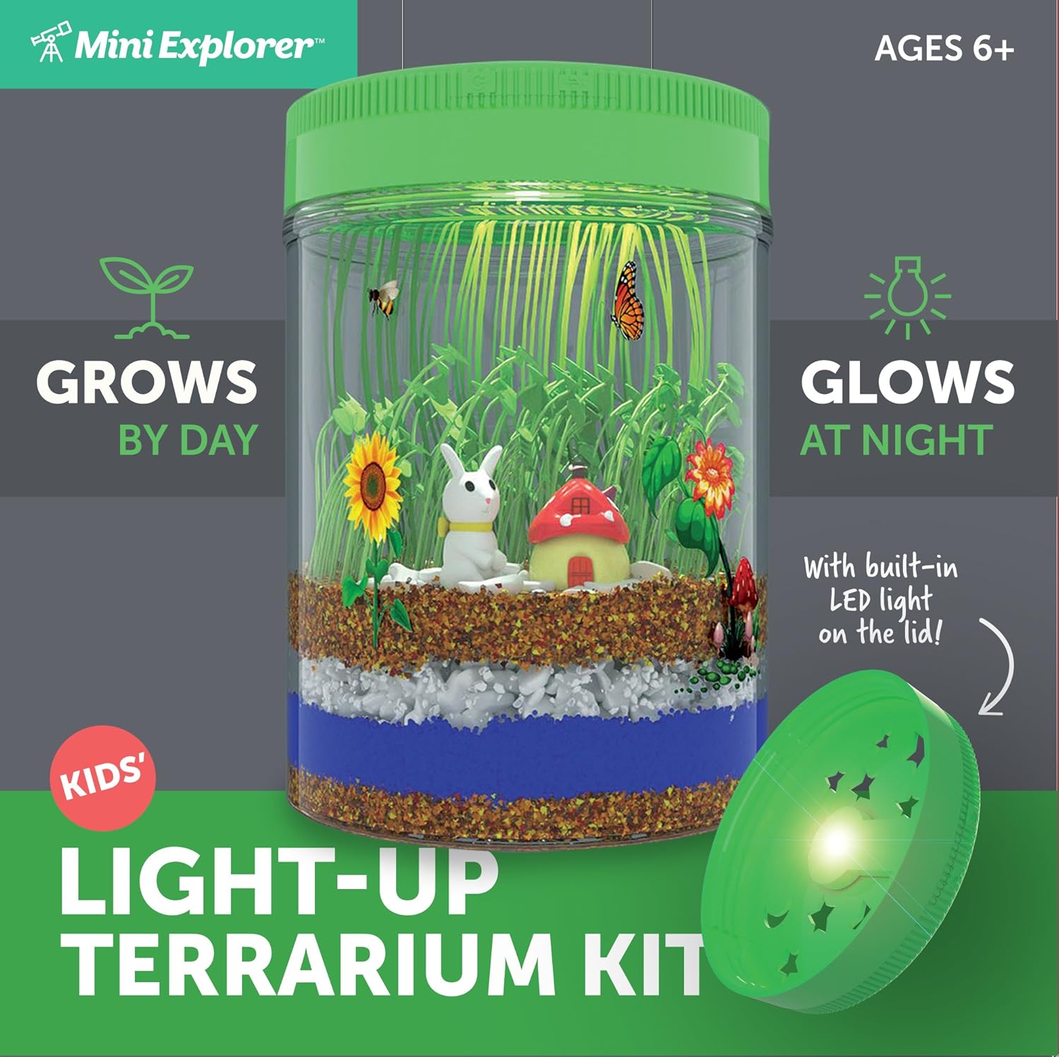 Mini Explorer Lightup Terrarium Kit for Kids with LED Light on Lid