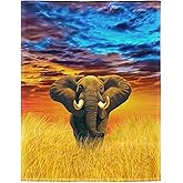 Rstick Elephant Blanket African Animal Fleece Blanket Soft Fuzzy Plush Throw Blankets for Couch Bed 60"x80"