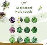 Garden Pack 12 Herb Seeds Variety 15000 Heirloom Seeds Starter Kit view 3