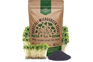 Organo Republic Broccoli Sprouting & Microgreens Seeds - Non-GMO, Heirloom Sprout Seeds Kit, 1lb Resealable Bag for & Growing Microgreens in Soil, Coconut Coir, Aerogarden & Hydroponic