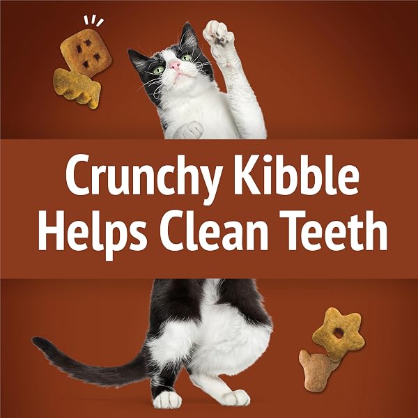 FRISKIES PARTY MIX – WILD WEST CRUNCH – 2.1 OZ