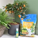 Westland Potting Compost Mix with Seramis, 8 Litre, Brown view 3