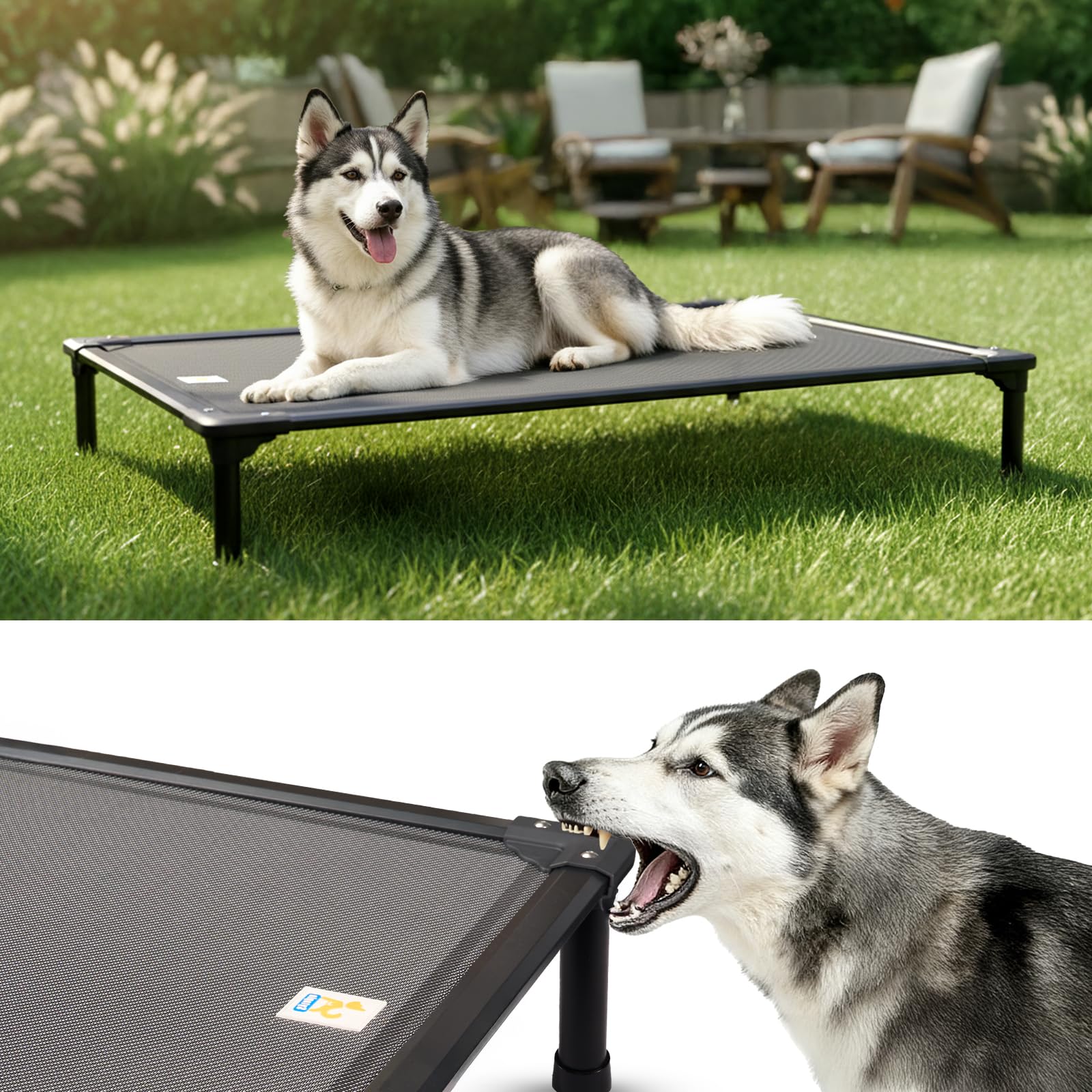 Photo 1 of *MISSING PARTS*
Sytopia 47'' Outdoor Elevated Dog Bed for Extra Large Dogs, Chew-Proof Pet Camping Raised Cot with Breathable Mesh - Durable Frame, Cooling Hammock Bed, Non-Slip Feet, Waterproof, Easy Clean