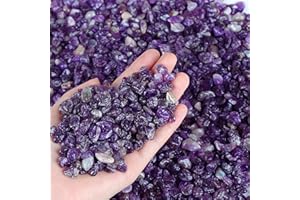 XIANNVXI Amethyst Aquarium Gravel Rocks 0.87lbs Crystal Chips Bulk Natural Tumbled Crushed Stone for Fish Tank Potted Vase Filler Planters Decorative