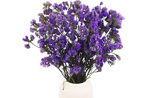 FAICOIA Dried Flowers Bundles Forget Me Not with Stems Natural Dried Flowers Purple Dried Flowers Bouquet for Floral Arrangements Wedding Party DIY Resin Vase Home Decoration