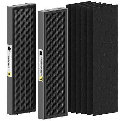 FMDZFL Filter B Smoke Clear HEPA Replacement Compatible with AC4825 AC4300 AC4800 AC4900 AC4850, 2 True HEPA Filters & 6 Activated Carbon Pre-Filters, FLT4825SM, Black/Gray