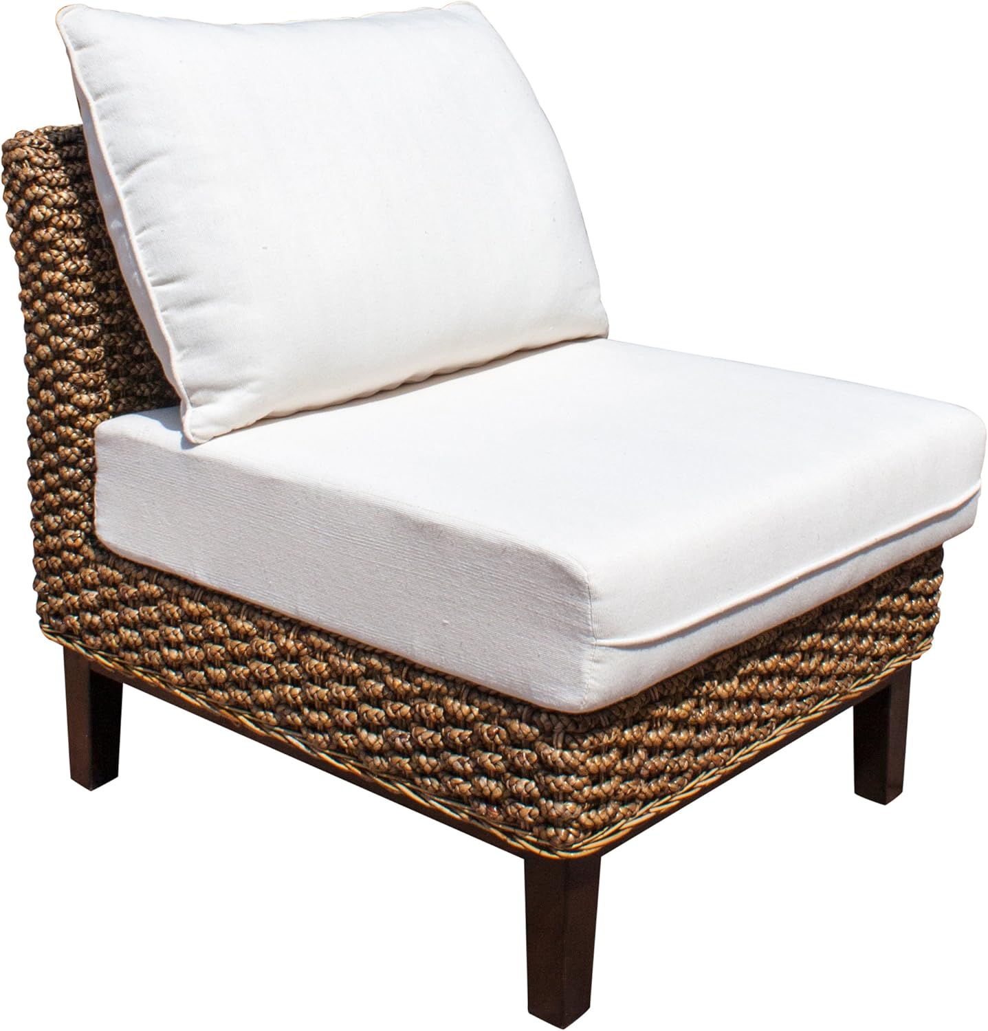 Best Sunbrella Dining Chair Cushions Macaw