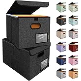 BALEINE File Organizer Box with Lid, Collapsible File Folder Organizer with Plastic Slide, Hanging File Folder Box for Office Document Storage (2 Pack, Black)