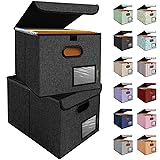 BALEINE File Organizer Box with Lid, Collapsible
