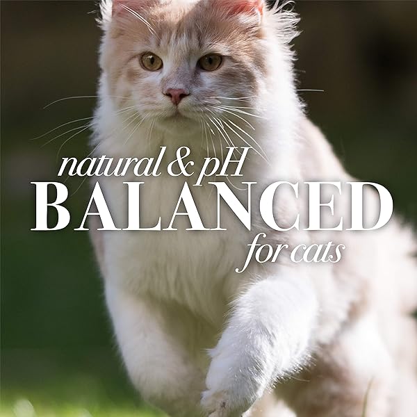 BURT’S BEES FOR PETS CAT DANDER REDUCING SPRAY WITH COLLOIDAL OAT FLOUR AND HONEY, WATERLESS CAT GROOMING SPRAY FOR DRY SKIN AND DANDRUFF CONTROL, CAT DANDER REMOVER FOR ALLERGY SUPPORT, 10 FL OZ