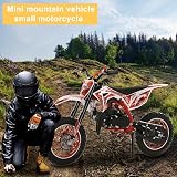 ehozirta 49cc Kids Dirt Bike 2-Stroke Gas Motocross 40KM/H Disc Brakes Red view 8