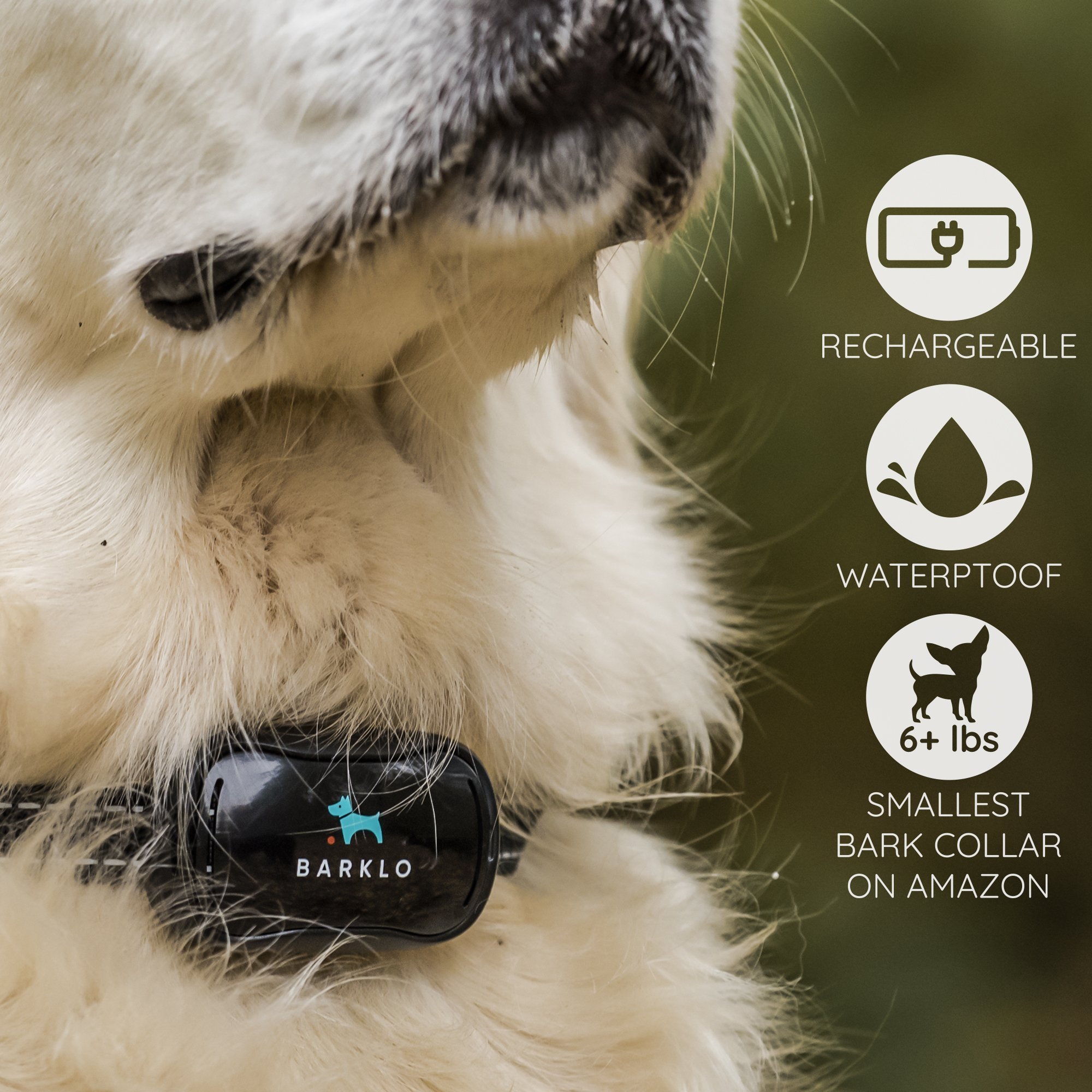 Small Dog Bark Collar For Tiny To Medium Dogs by BARKLO Rechargeable