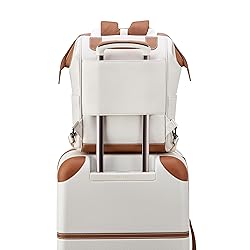 DELSEY PARIS Chatelet 2.0 Tote Travel Backpack