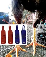 A.D.P. R4 Chicken Leg Spur Protectors Red Blue 2 Pairs Rooster Gamefowl view 5