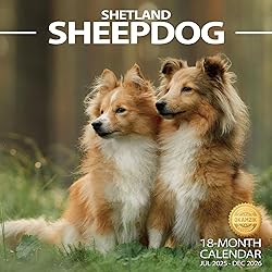 2025-2026 Wall Calendar Shetland Sheepdog Planner