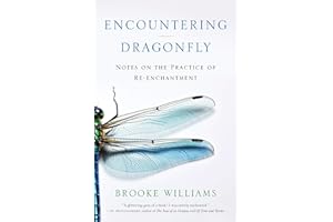 Encountering Dragonfly: Notes on the Practice of Re-enchantment