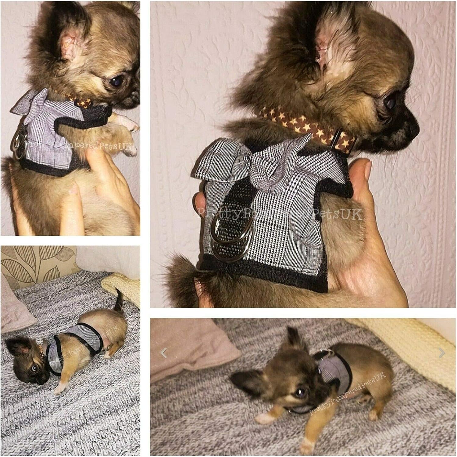 XXXXS XXXS Colour as shown Chihuahua Harness Tiny Size XXXXS XXXS