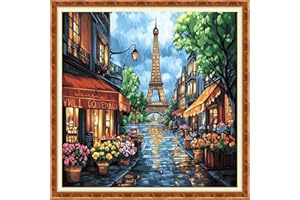 DMCXART Counted Cross Stitch Kits for Adults Needlepoint Kits Unprinted Cross Stitching Embroidery Kit 11CT Cross Stitch Supplies-Eiffel Tower Flower Street 18x18 inch
