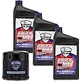 Exmark Engine Oil 3 Quarts and Filter Kit Quest Radius E S Series 135-2566 126-5234