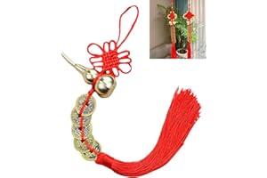 HNZYFUTA Feng Shui Good Luck Charms (Metal Gourd with 5 Coins) As Blessing Gifts Bring Health Success Peaceful and Wealth Suitable for Car Furniture,Bag,Home,Office Other Scenes