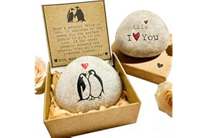 UIDMEN Personalized Penguin Pebble Romantic Gift, Couple Gift Box Set, Hand-Painted Penguin Pebble, with Greeting Card, Gifts