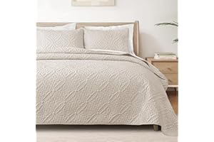 Exclusivo Mezcla Queen Quilt Bedding Set, Lightweight Soft Bedspreads Coverlets with 2 Pillow Shams, Modern Brich Beige Quilts Queen Full Size for All Seasons