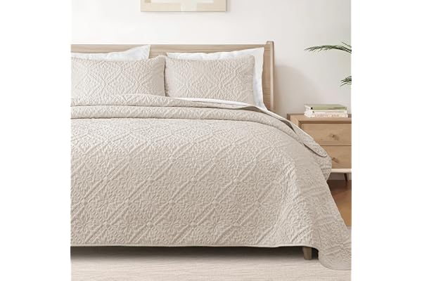 Exclusivo Mezcla Queen Quilt Bedding Set, Lightweight Soft Bedspreads Coverlets with 2 Pillow Shams, Modern Brich Beige Quilt