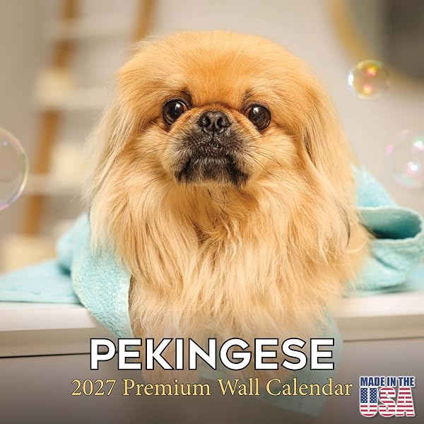 Avonside Publishing Ltd, Pekingese 2027 Calendar | Square Wall
