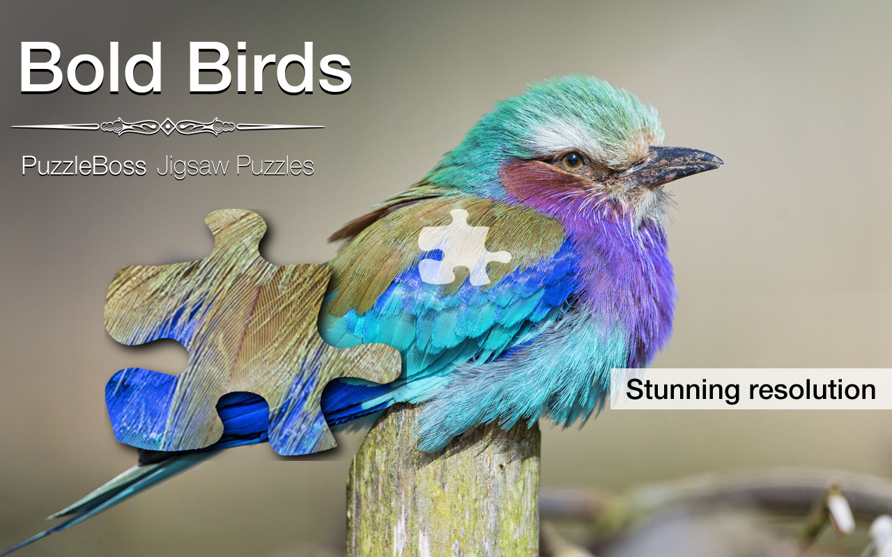 Bold Bird Jigsaw Puzzles Appstore for Android
