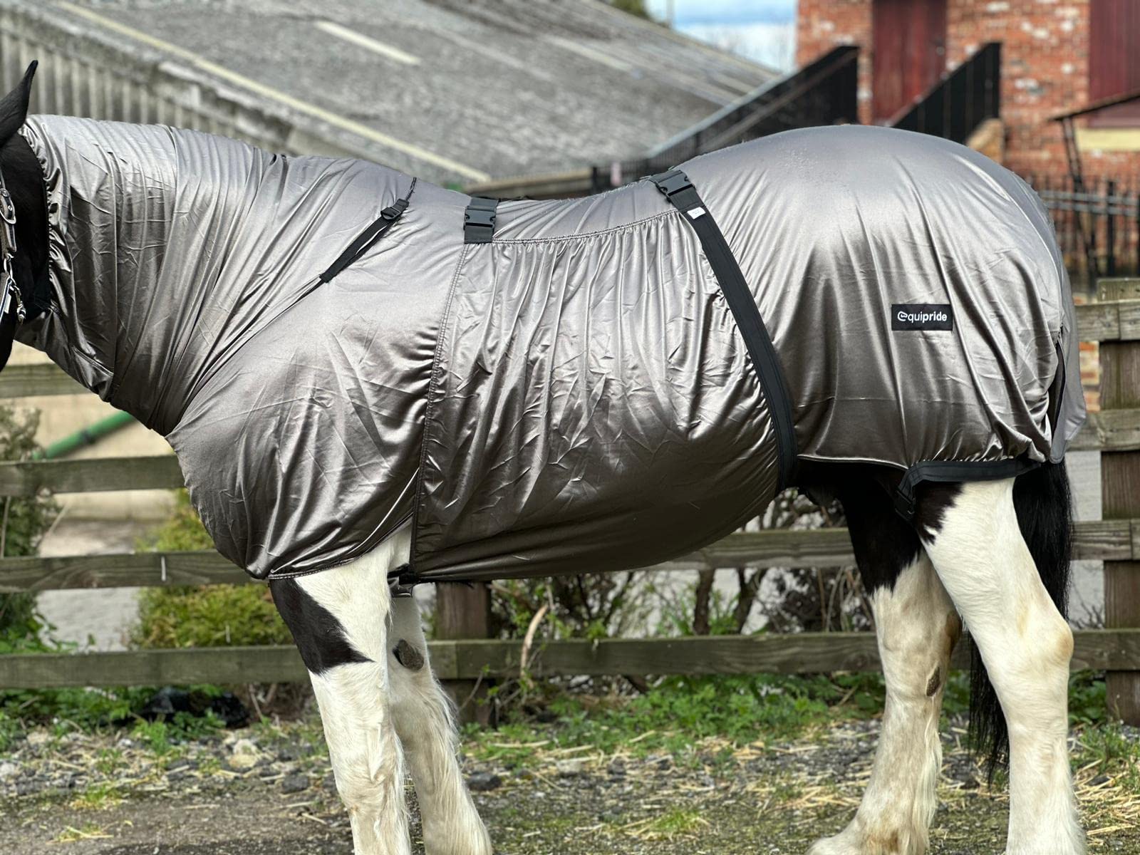 Countrypride ECZEMA RUG ATTCHED NECK ELASTICATED WIDE BELLY WRAP GREY SIZE 4'9"" TO 7'0" (5'0")