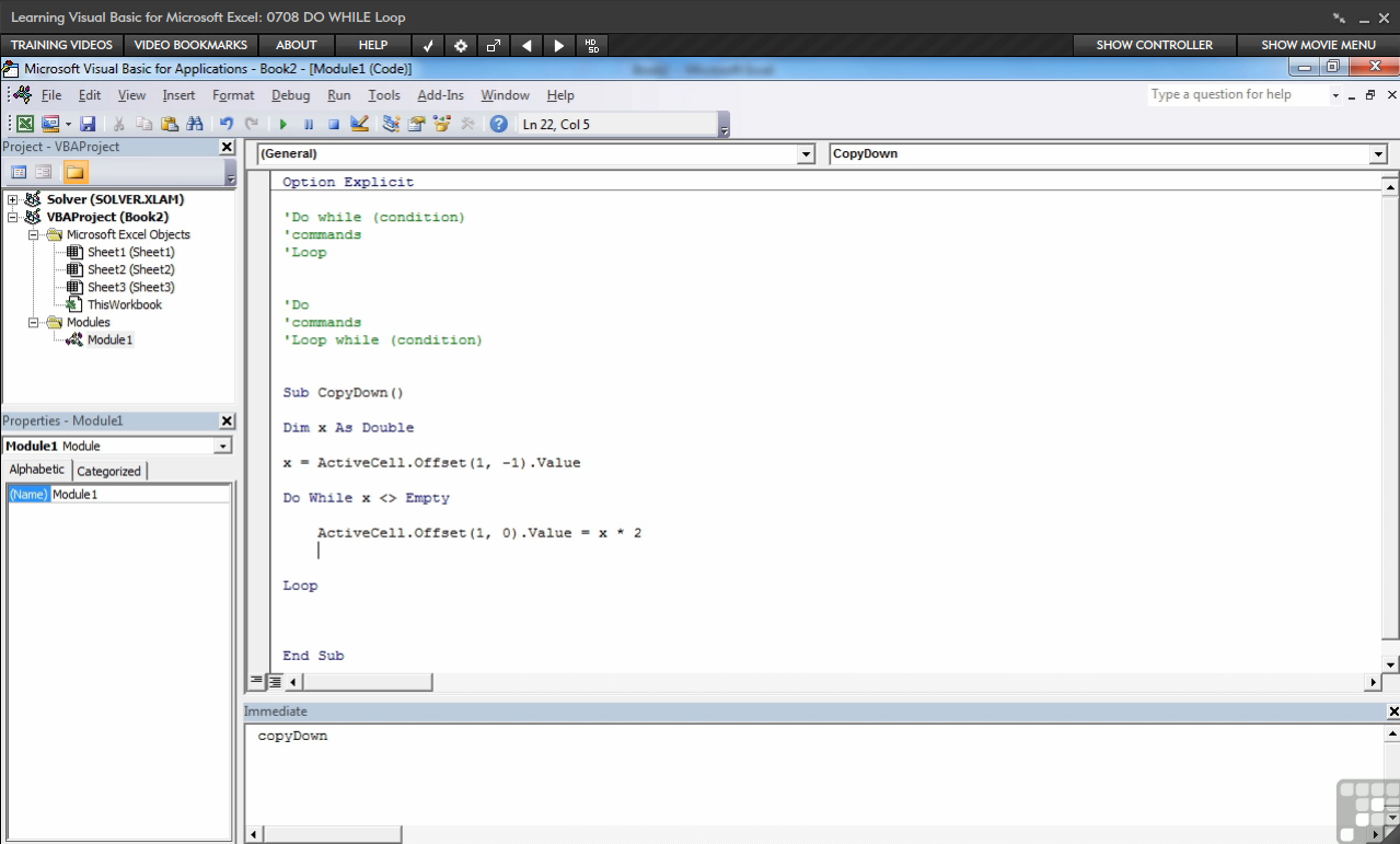 Learning Visual Basic for Microsoft Excel [Online Code] - Thumbnail 5