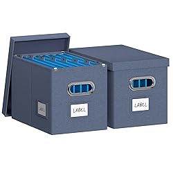DYWMM Hanging File Box with Lid, Set of 2 Filing