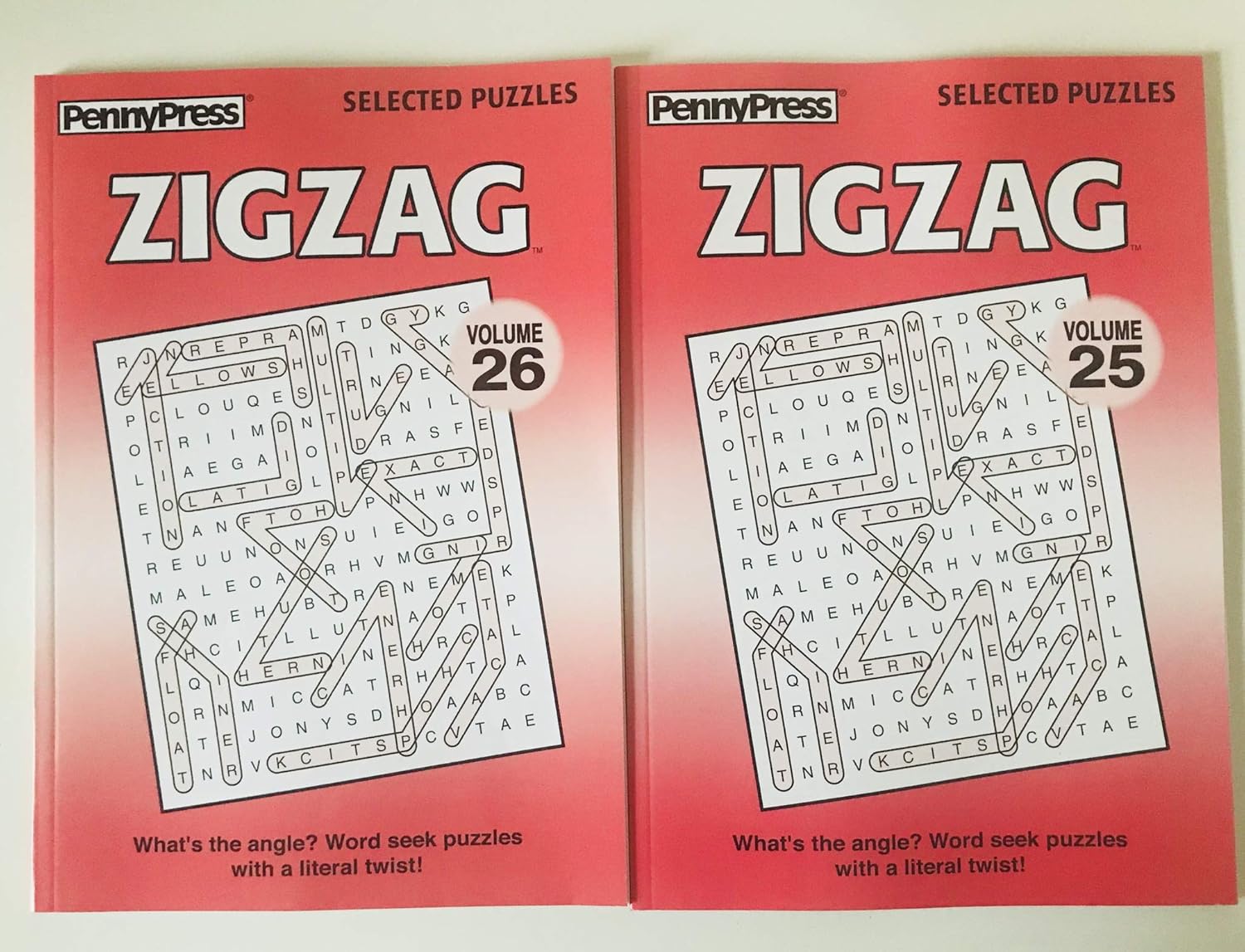 Zig Zag Word Search Puzzles Printable