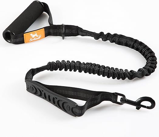 squeaky toy noise for dogs