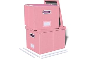 Oterri File Boxes with Lids 2 Pack, Letter Legal Size Filing Boxes, File Organizer Storage Cabinet for Hanging File Folders, 