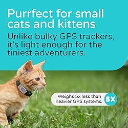 Tabcat V2 Cat & Kitten Tracker - More Accurate Than