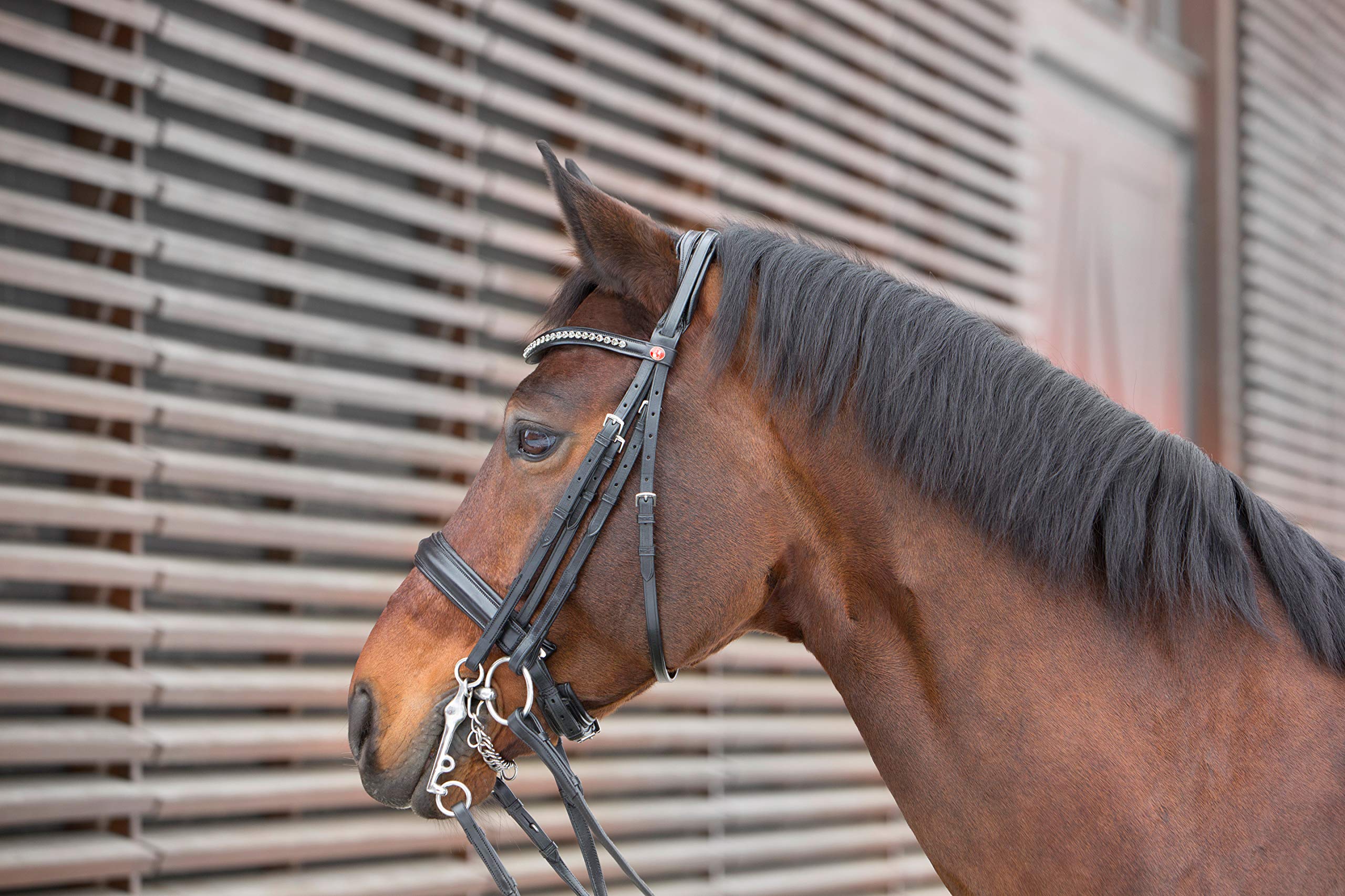 KIEFFER Double bridle Kieffer Ultrasoft